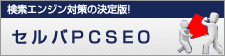 セルバSEO